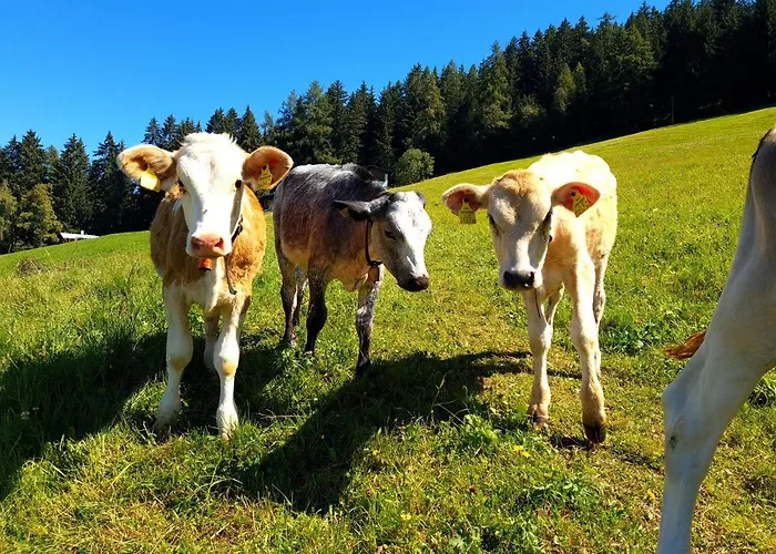 Prázdninový dům Walters Huette Tulfes