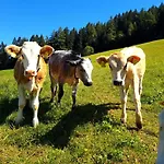 Ferienhaus Walters Hütte Tulfes